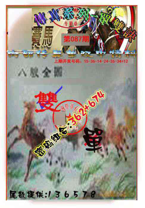 087期马会传真-单双诀[图]