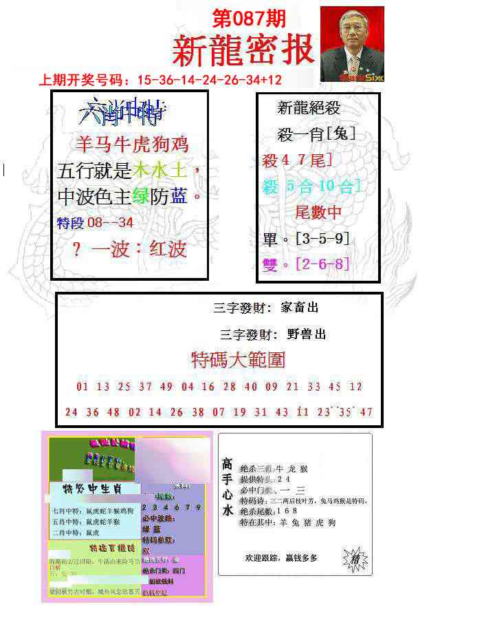 087期新龙密报[图]